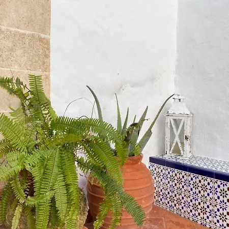 Santa Rosalia Tatil Evi *